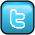 Twitter-icon
