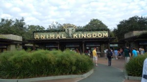 Disney Vacation Planning: Animal Kingdom | The Affordable Mouse